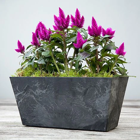 Balcony Trough Ella Black H17Cm D37Cm - Image 2