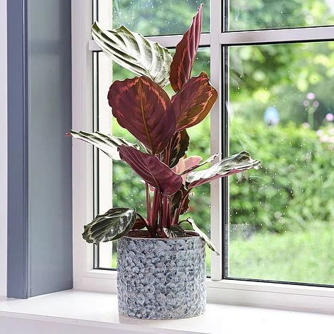 Terni Planter Denim D20Cm H18Cm - Image 2