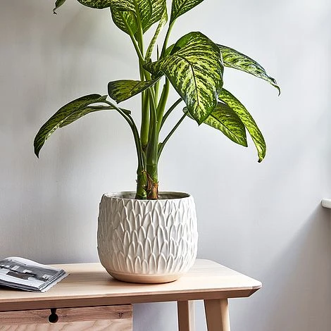 Arles Leaf Embossed White Planter H24Cm W28Cm - Image 2