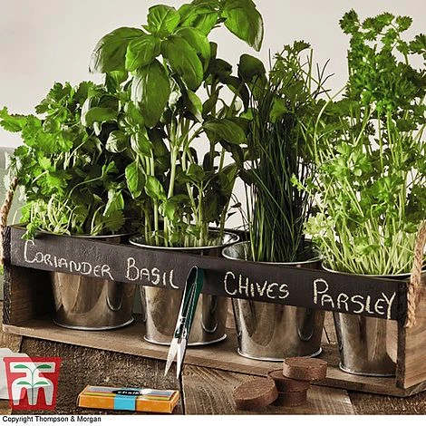 Chalk Board Herb Garden Gift Set - Gift - Image 2