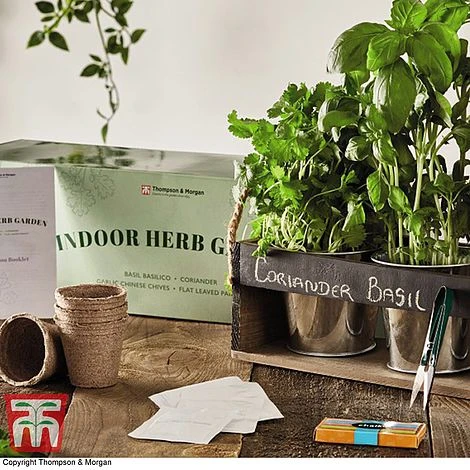 Chalk Board Herb Garden Gift Set - Gift - Image 3