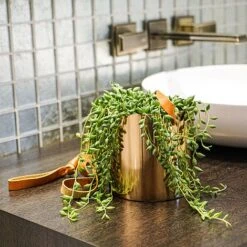 Copper Hanging Planter With Leather Strap D15Cm