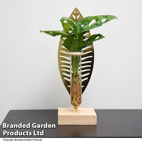 Hydroponic Collection On Display Stand - Image 2