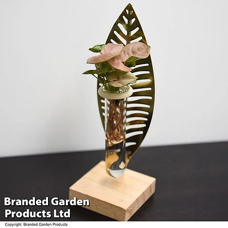 Hydroponic Collection On Display Stand - Image 3