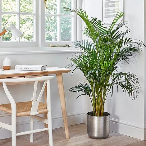 Indoor Chelsea Pewter Planter H28Cm D28Cm - Image 2