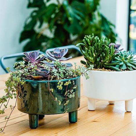 Pisa Emerald Bowl H14Cm D19Cm - Image 2