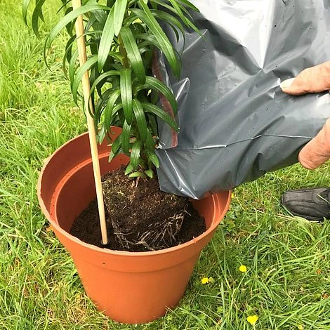 'Pot Master' Drainer Disc (packs Of 3) - Image 4