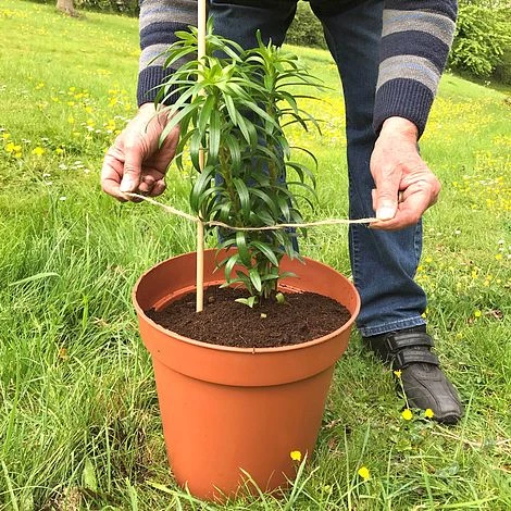 'Pot Master' Drainer Disc (packs Of 3) - Image 6