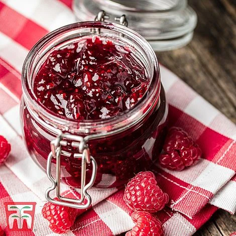 Raspberry 'Glen Fyne' (Summer Fruiting) - Image 3