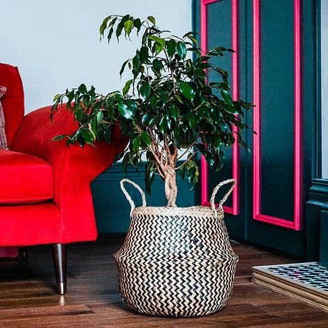 Seagrass Chevron Black Lined Basket Small H25Cm D30Cm - Image 3