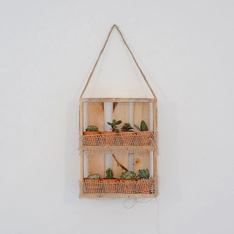 Hanging Wooden Succulent Shelf With 8 Plants - Image 2