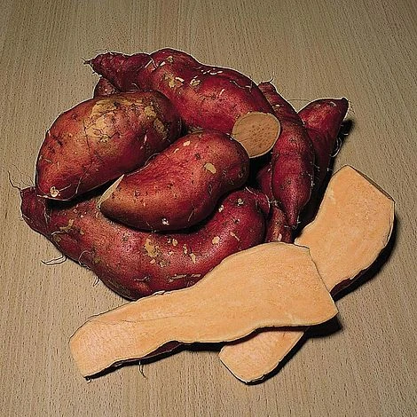 Sweet Potato 'Beauregard Improved' - Image 2