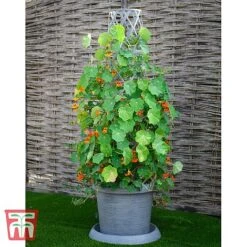 Tower Pot™ Modern Grey Collection