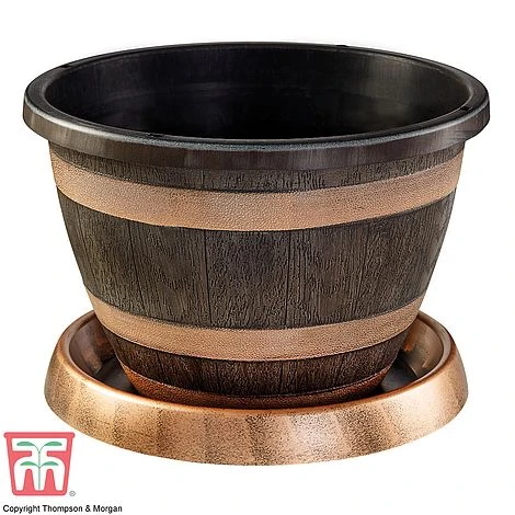 Wooden Barrel Effect Pot & Saucer - Image 2