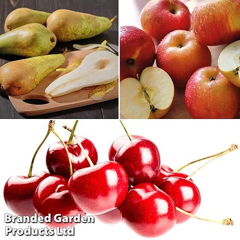 Mini Orchard Pie Trio - Image 3