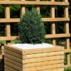 Medium 50cm Square Wooden Planter